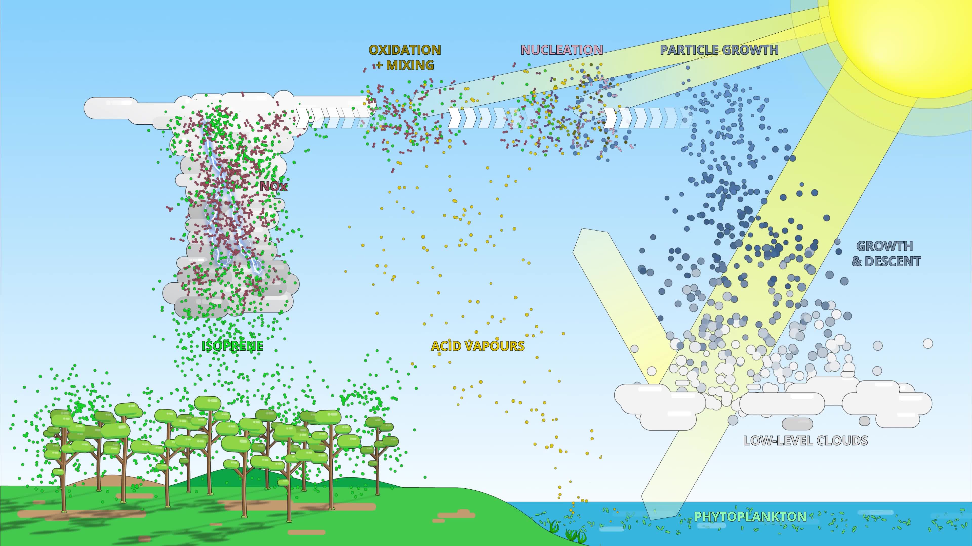 Animation of new particle formation from isoprene in the upper ...